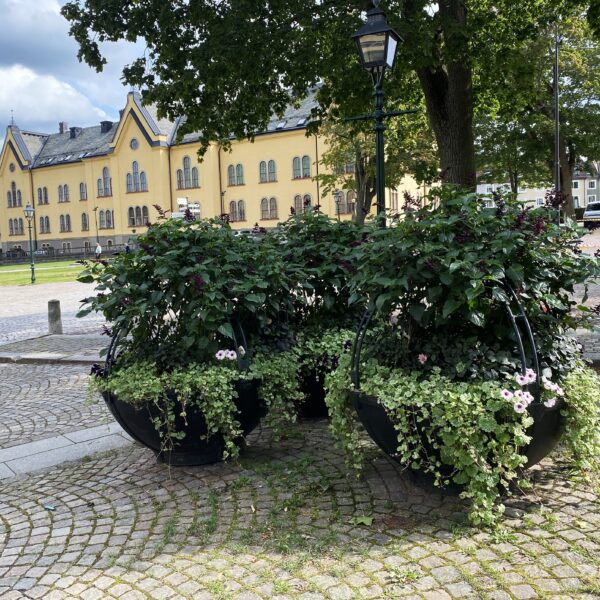 Humle planteringskärl från Järn i Offentlig Miljö