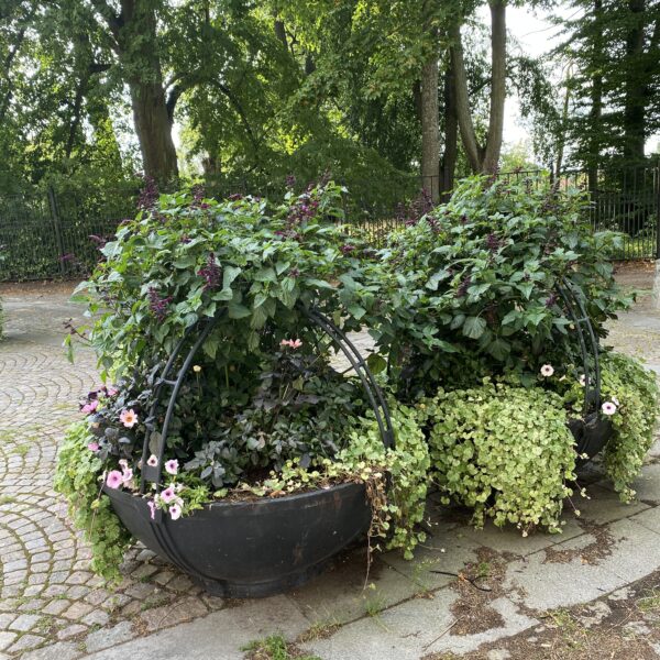 Humle planteringskärl från Järn i Offentlig Miljö