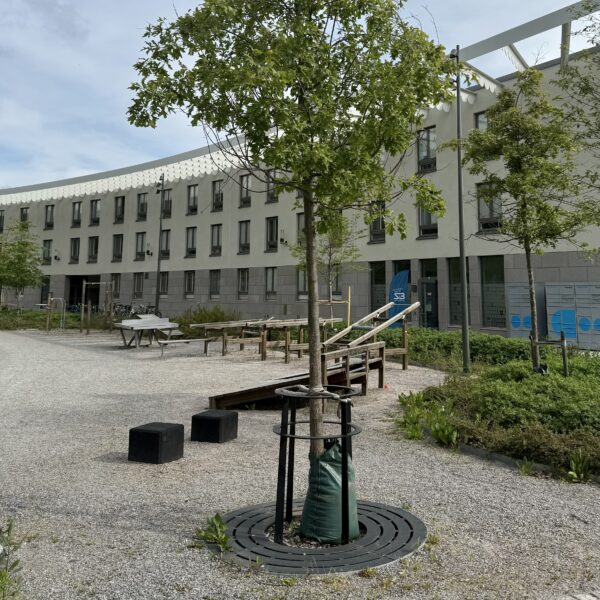 Markgaller Lateral - runda