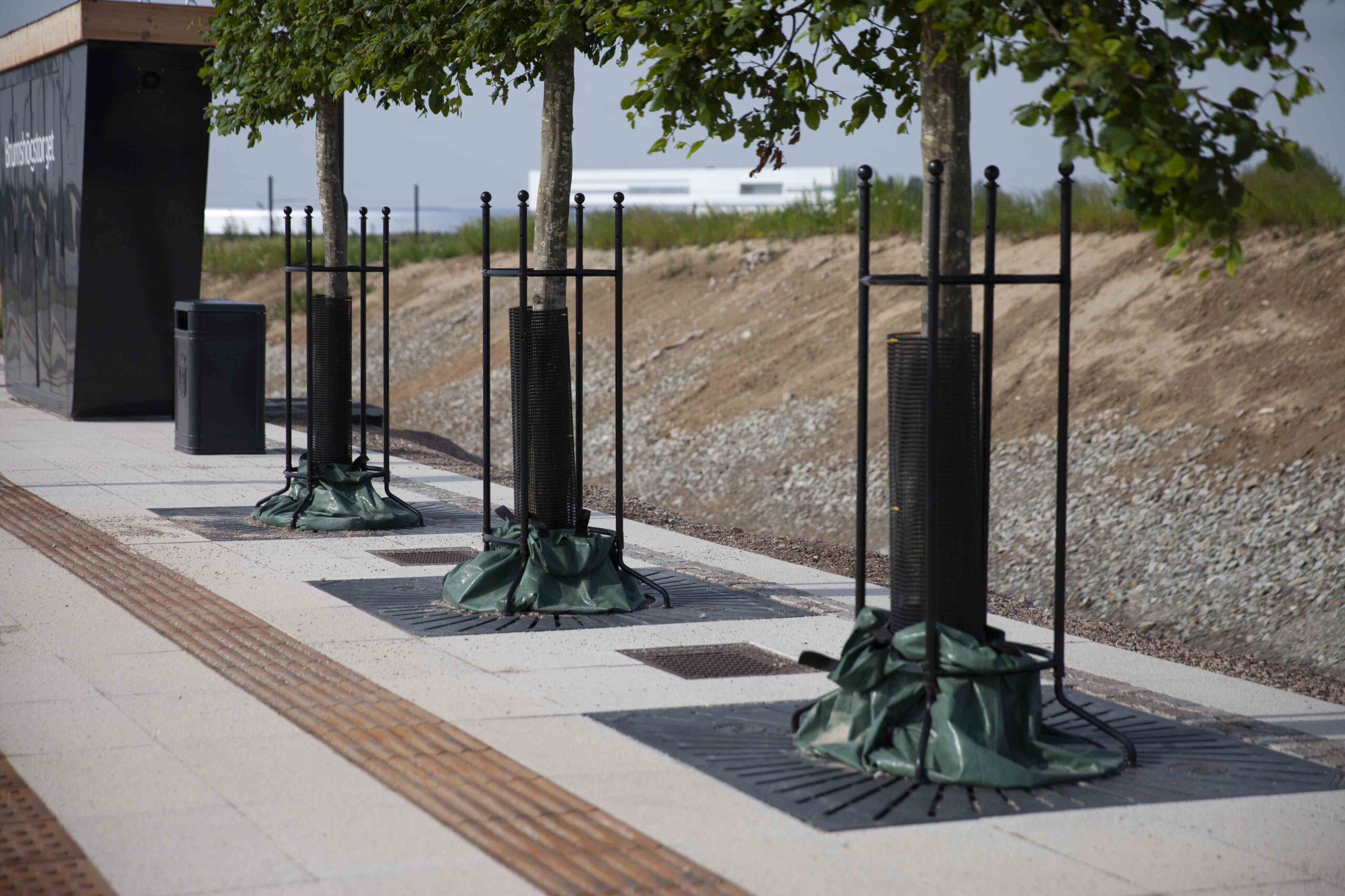 Vitae auctor eu augue