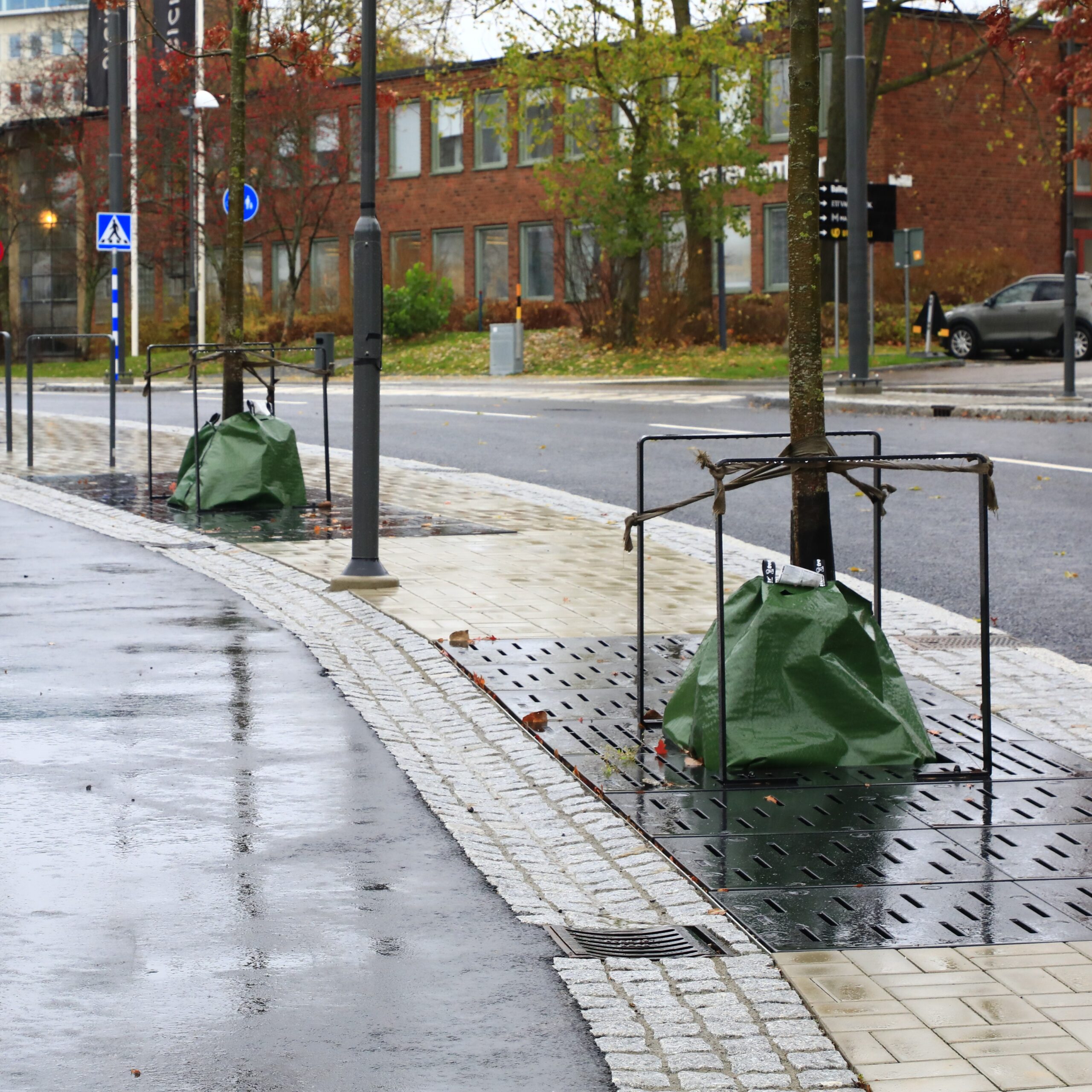 Vitae auctor eu augue