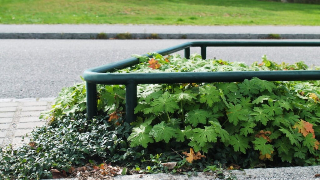 Planteringsräcke Flora