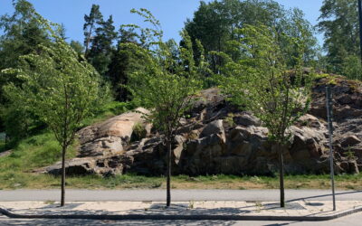 JOM levererar markgaller till Vega