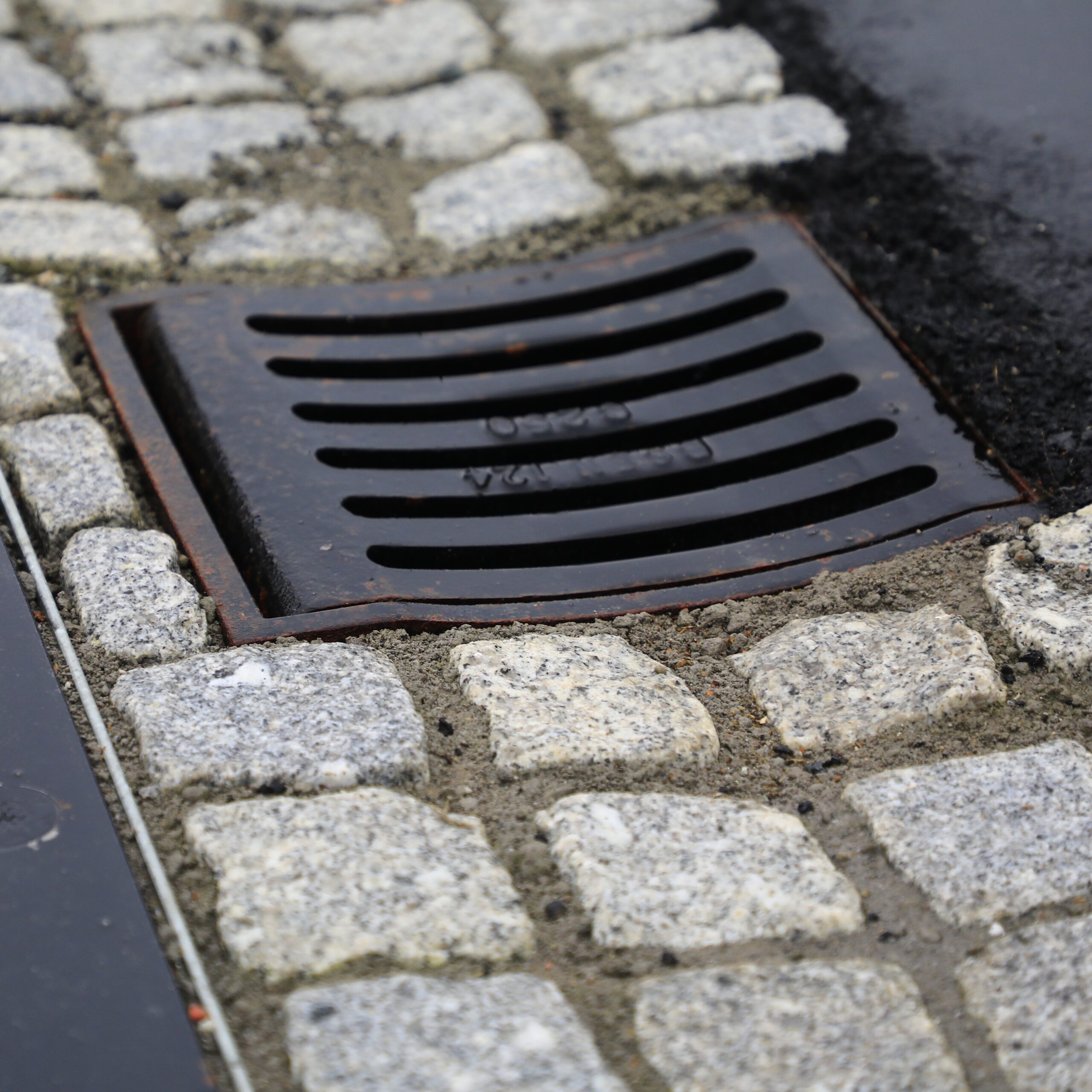 Vitae auctor eu augue