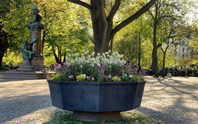 Nu grönskar det i staden