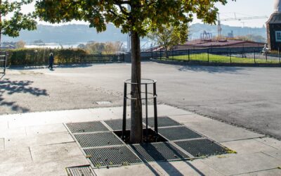 Stamskydd Illusion från Järn i Offentlig Miljö