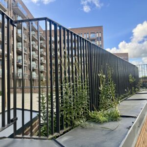 Sydhägn sektion från Järn i Offentlig Miljö