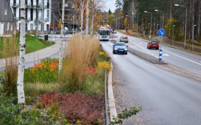 Regnbädd från Järn i Offentlig Miljö