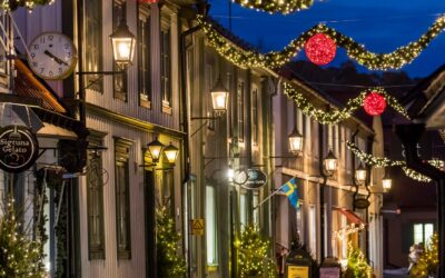 Djurgårdslykta i Sigtuna från Järn i Offentlig Miljö