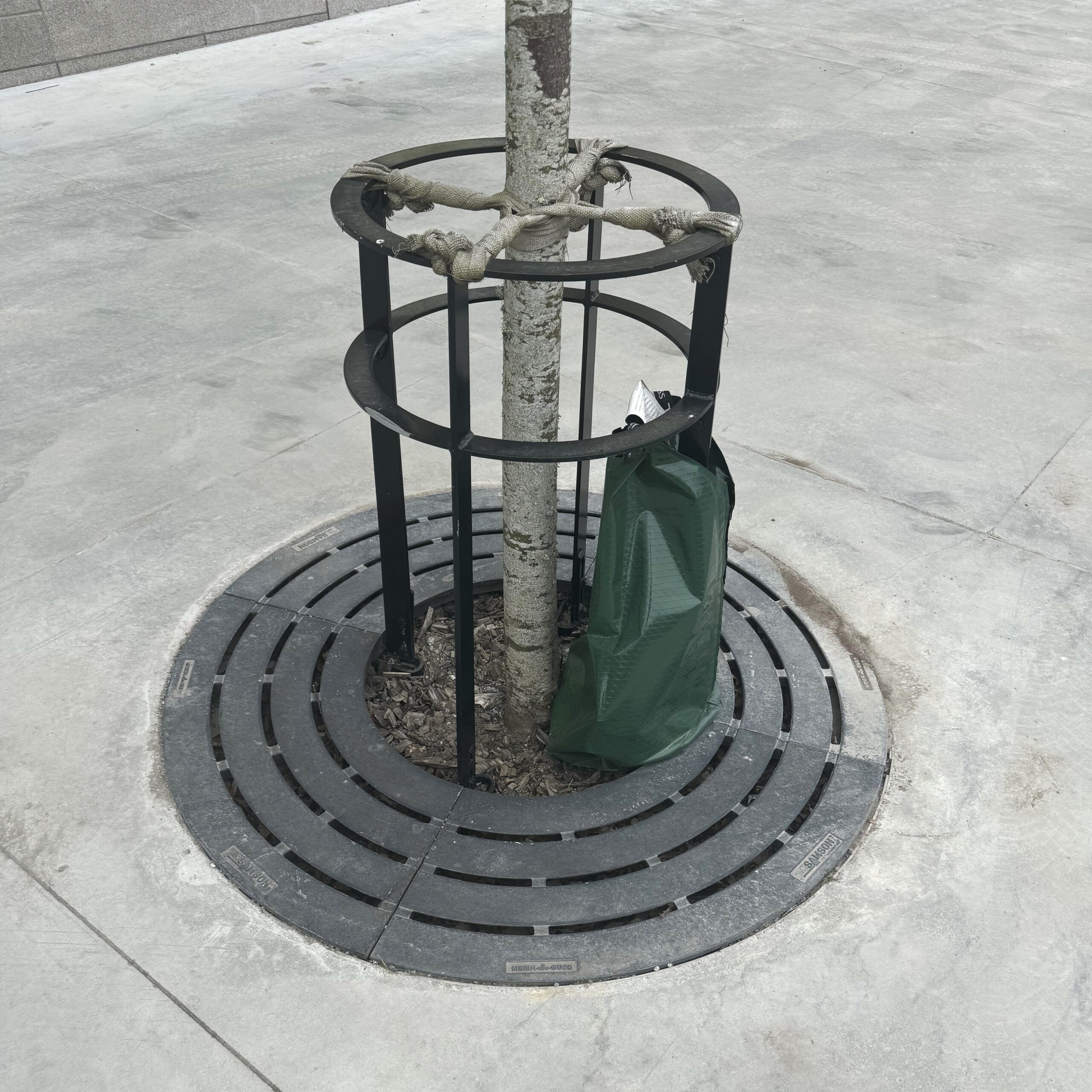 Markgaller Rondello - runda - Bild 3