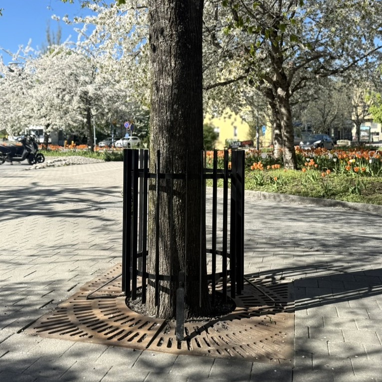 Stamskydd Tilia från Järn i Offentlig Miljö