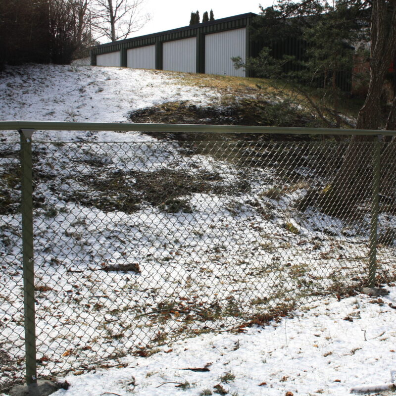 Murgröna - överliggare